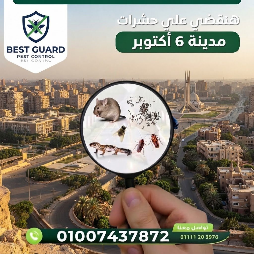 6 أكتوبر