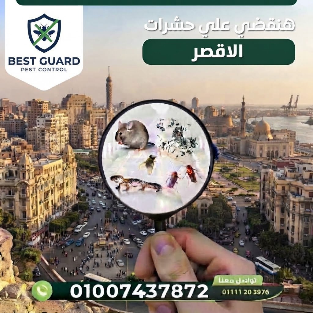 الأقصر