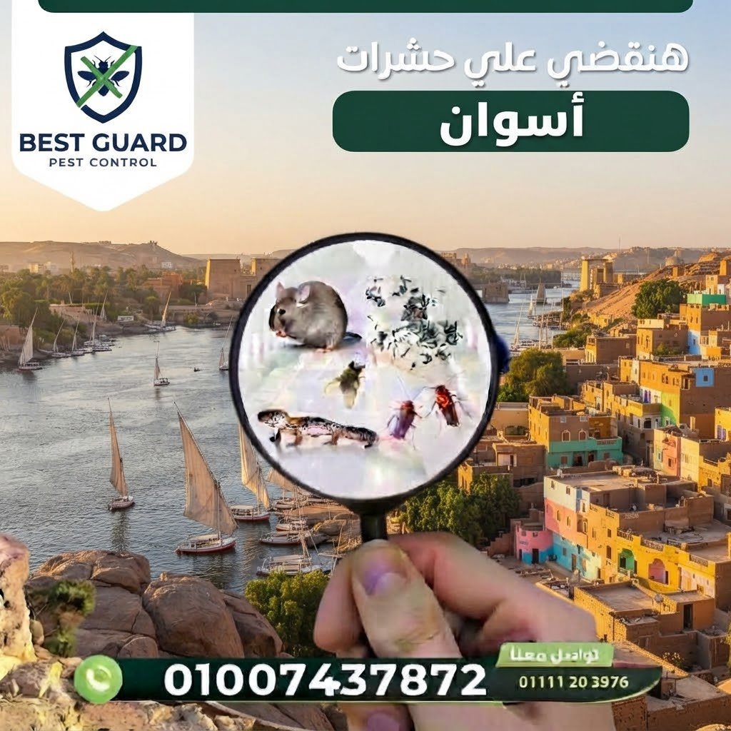 أسوان