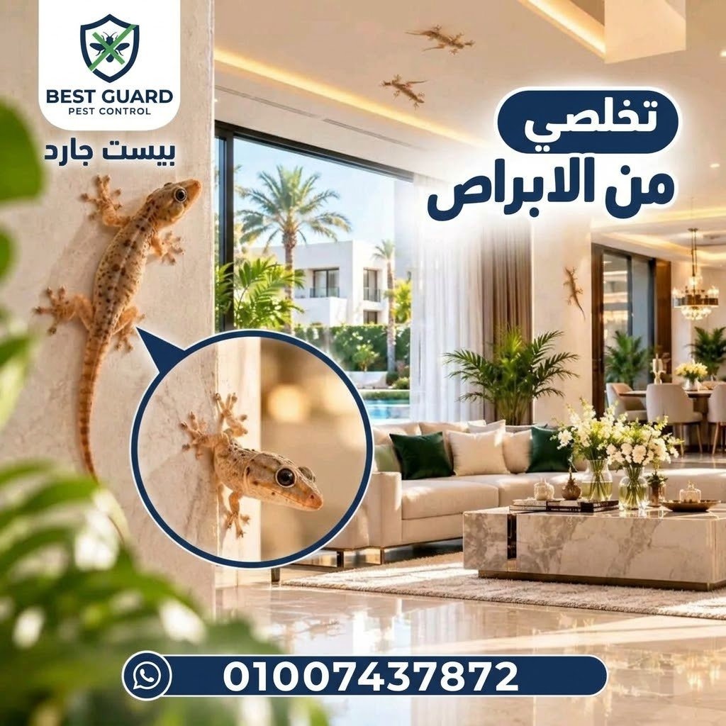 مكافحة الابراص والوزغ في مصر
