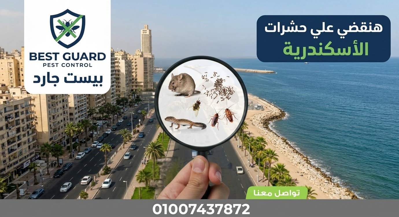 الإسكندرية