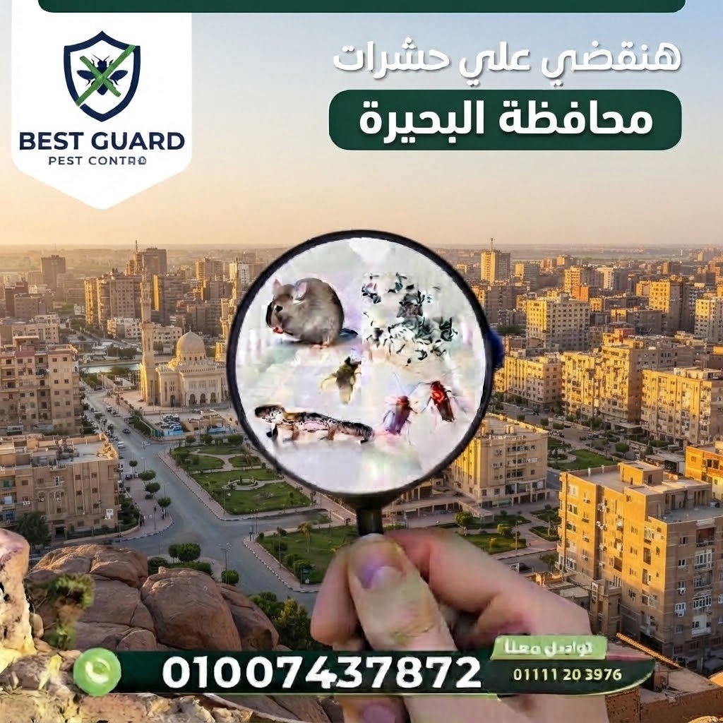 البحيرة