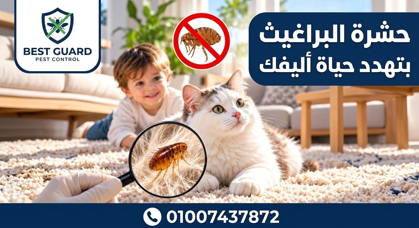 مكافحة البراغيث في المنزل والحيوانات الأليفة