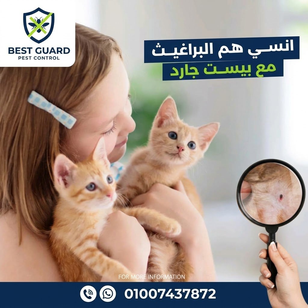 فريق بيست جارد أثناء تطهير السجاد من البراغيث