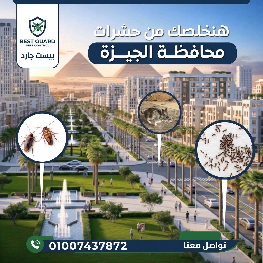 الجيزة