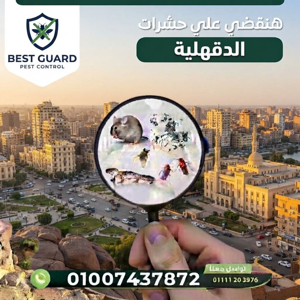 الدقهلية