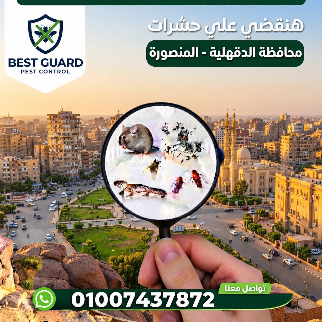 شركة مكافحة حشرات في محافظة الدقهلية والمنصورة
