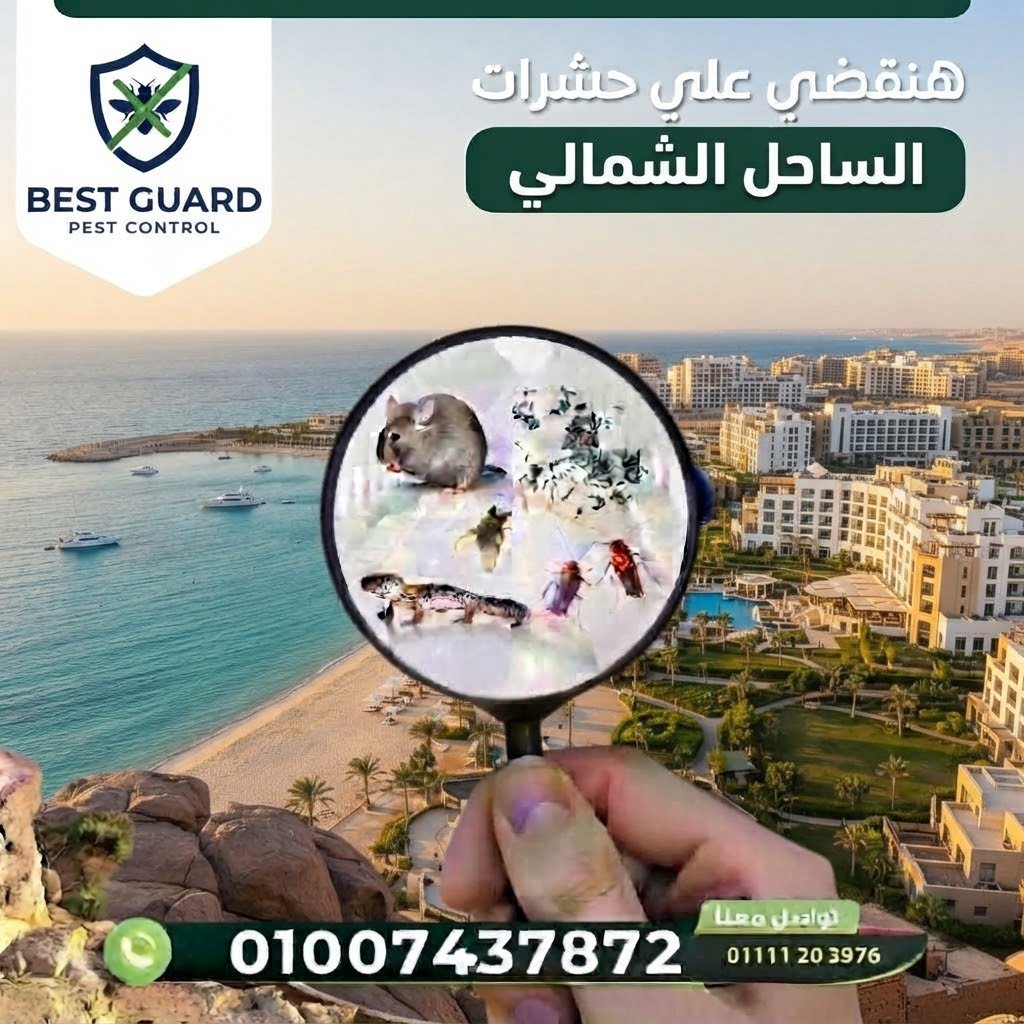 الساحل الشمالي