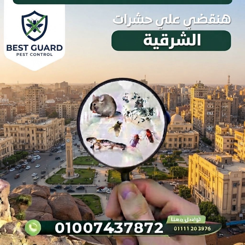 الشرقية