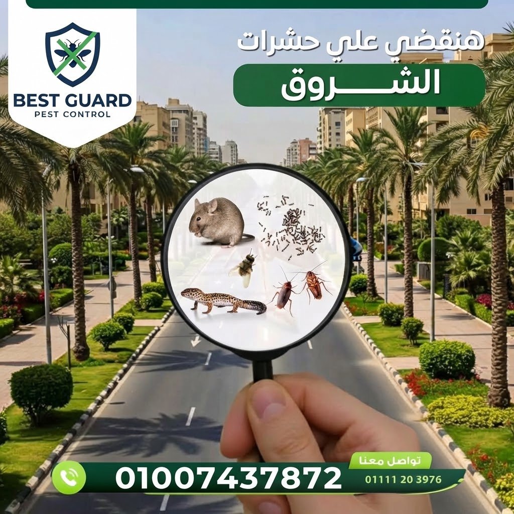 الشروق