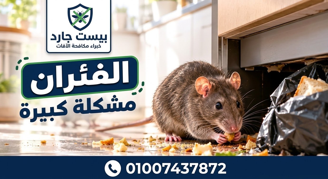 مكافحة الفئران والجرذان في المنازل والشركات