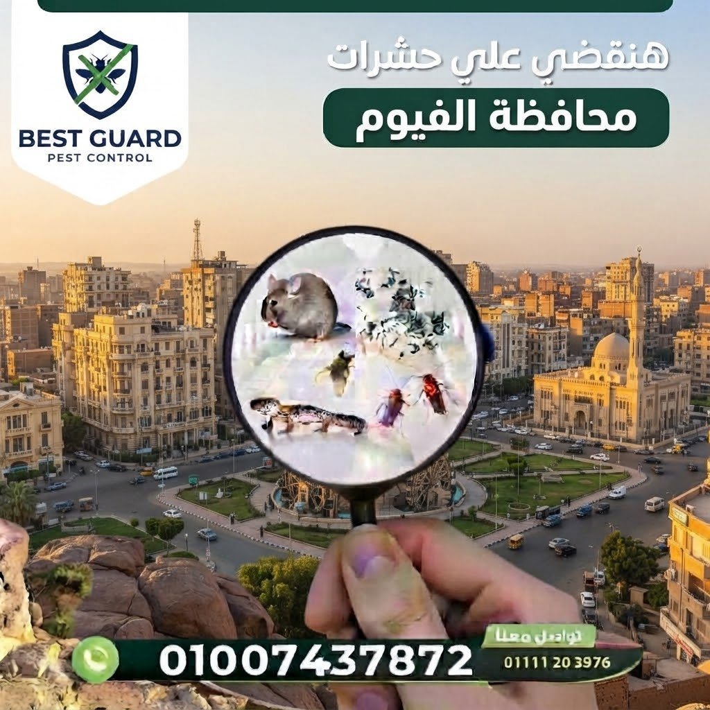 الفيوم