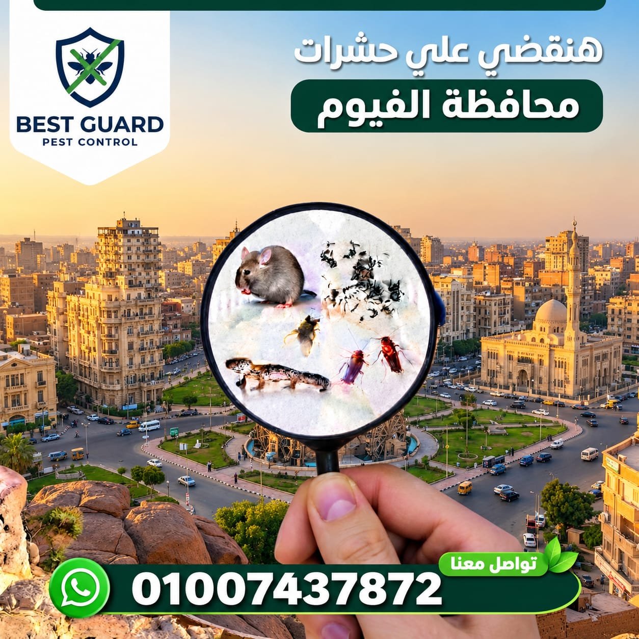 شركة مكافحة حشرات في محافظة الفيوم
