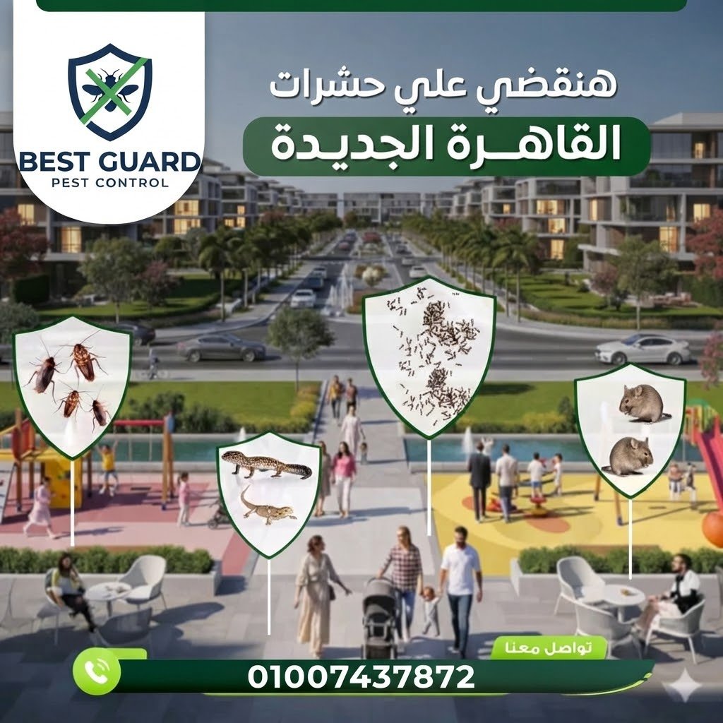 القاهرة الجديدة