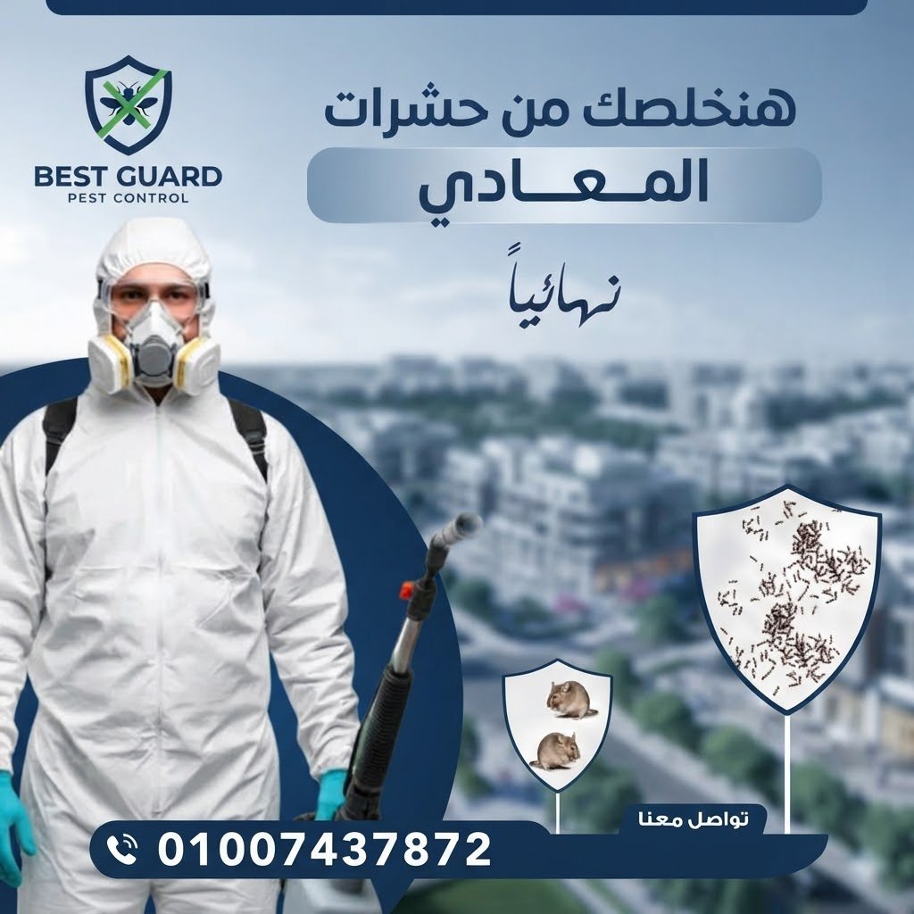 المعادي