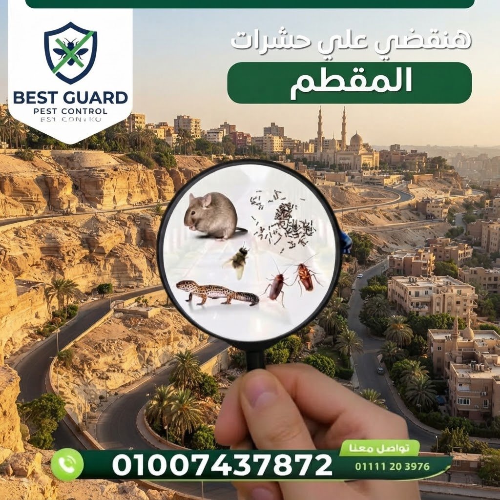المقطم