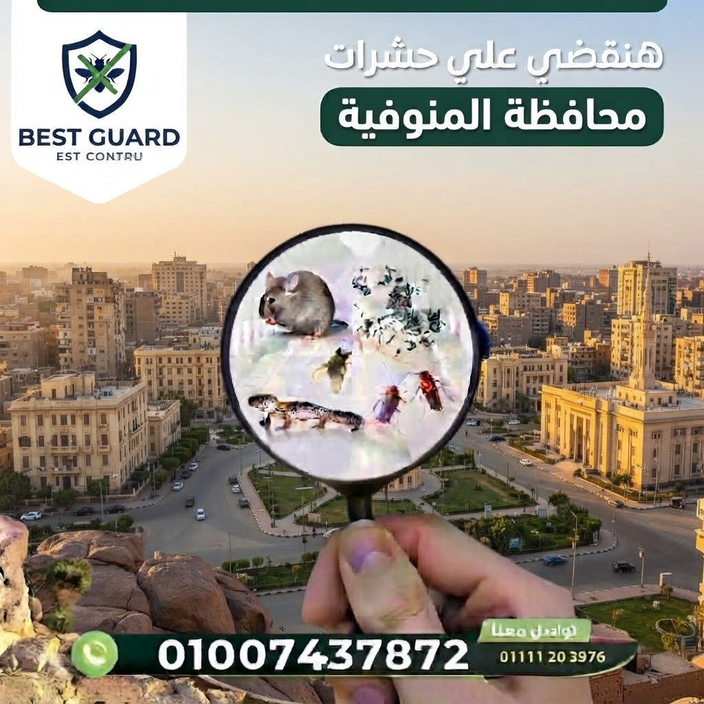 المنوفية
