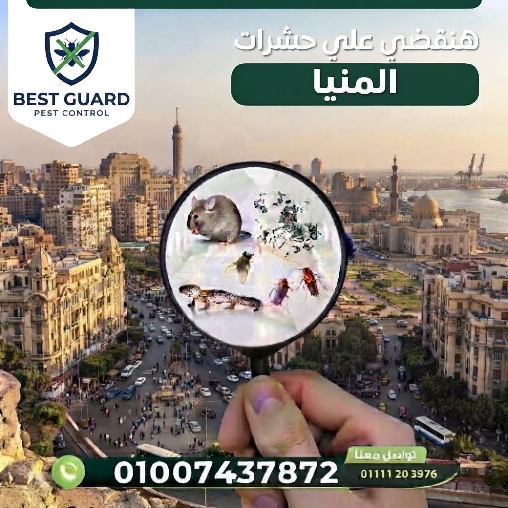 المنيا