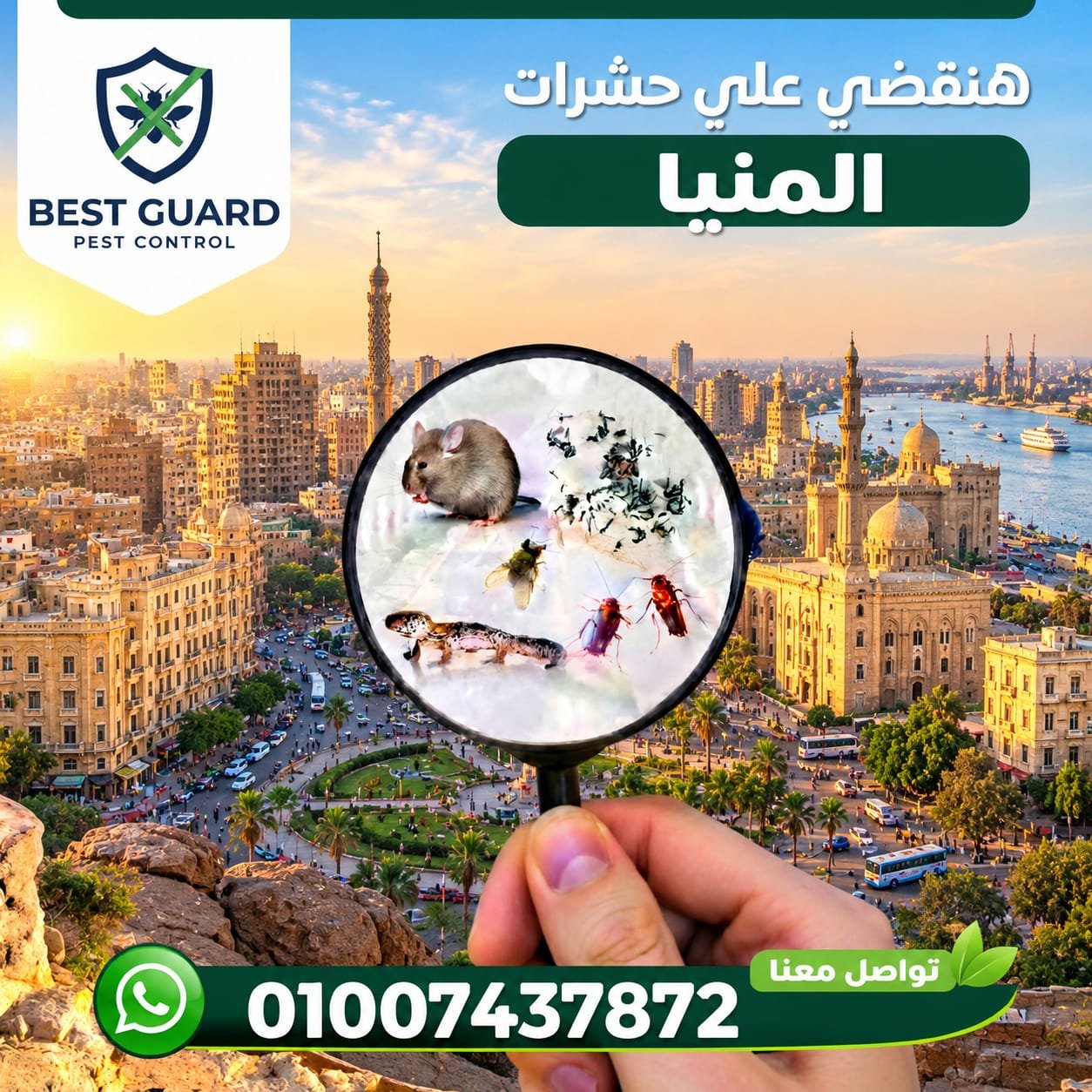 شركة مكافحة حشرات في محافظة المنيا