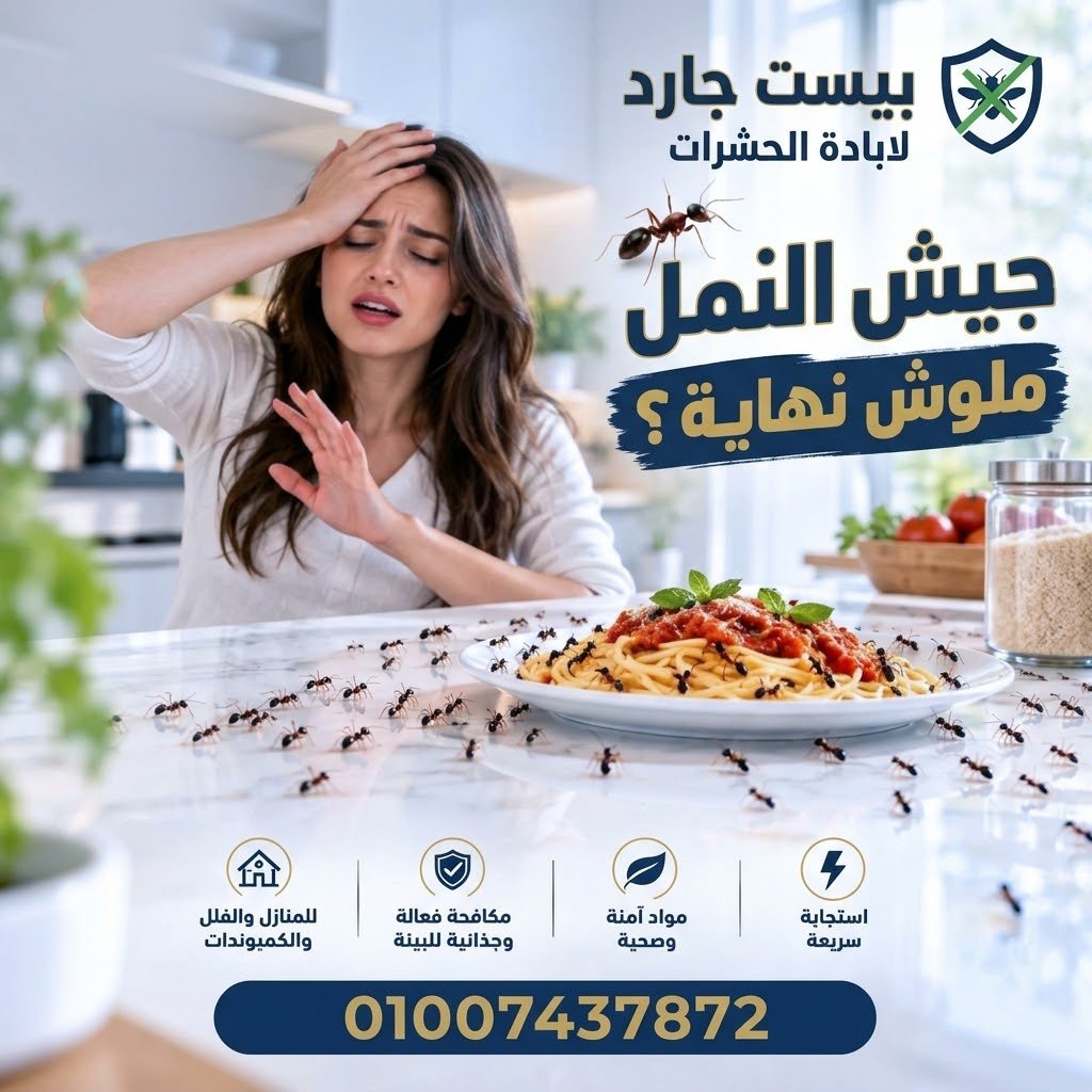 مكافحة النمل الأبيض والأسود في مصر
