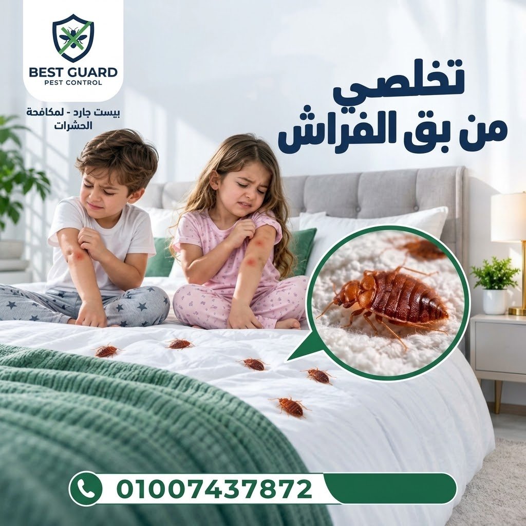 مكافحة بق الفراش في المراتب وغرف النوم