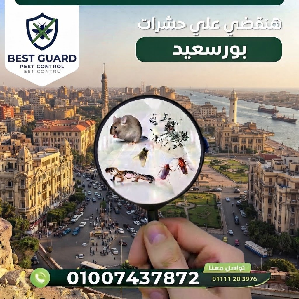 بورسعيد
