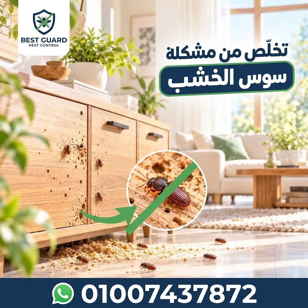 مكافحة سوس الخشب وحماية الأثاث والأبواب