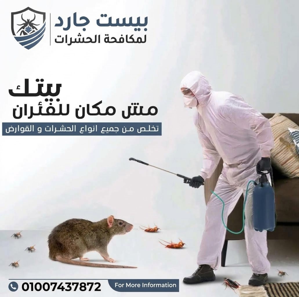 استخدام محطات الطعوم لمكافحة الفئران بفعالية