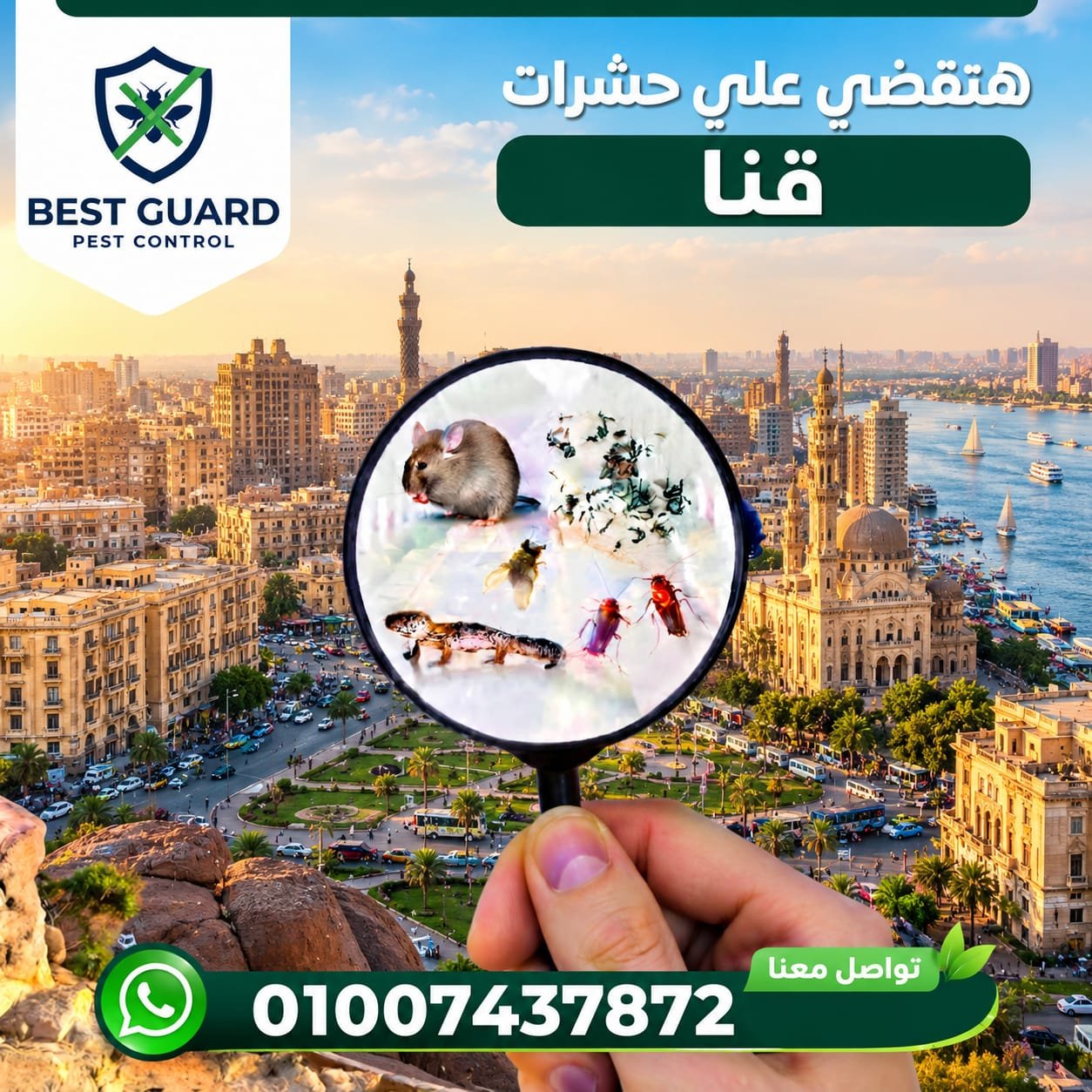 شركة مكافحة حشرات في محافظة قنا