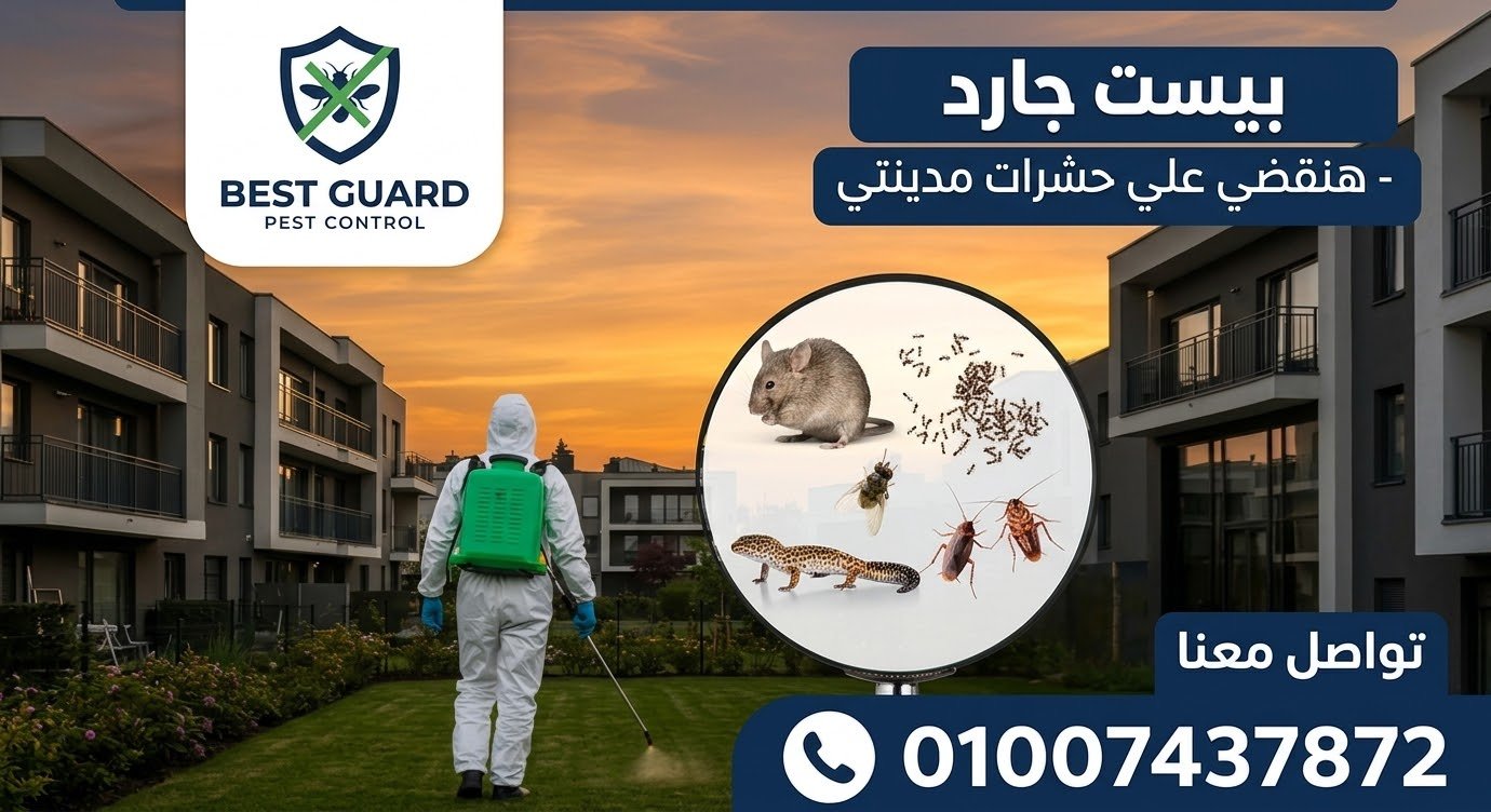مدينتي
