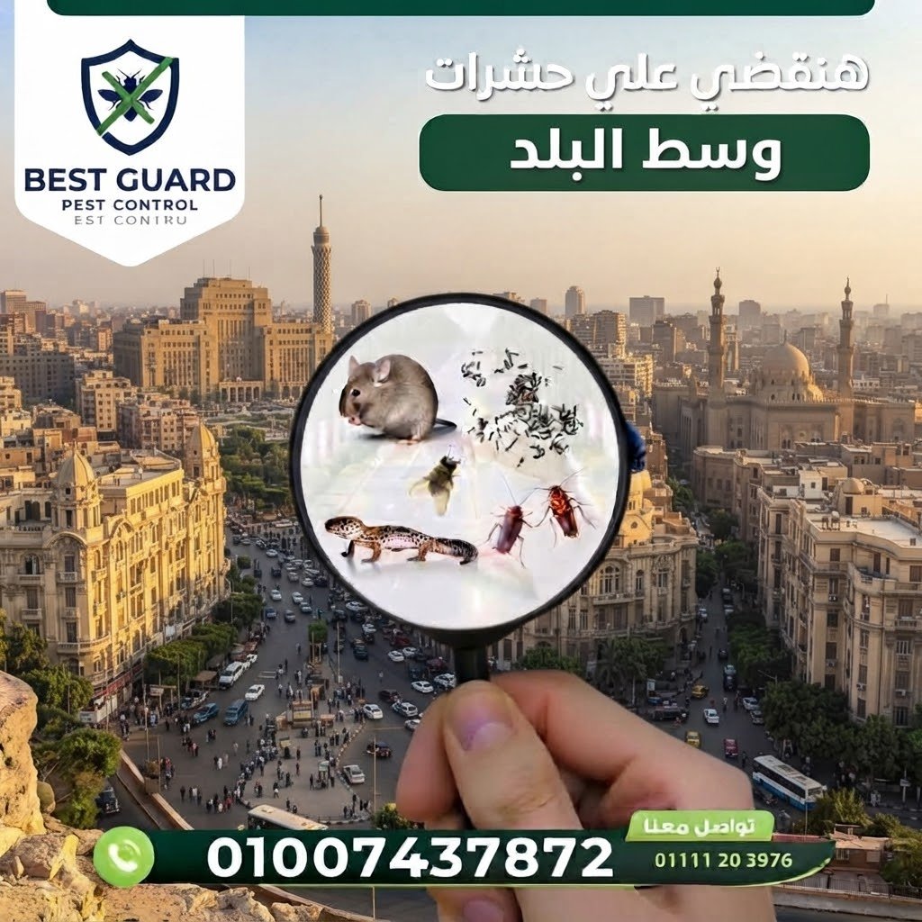 وسط البلد